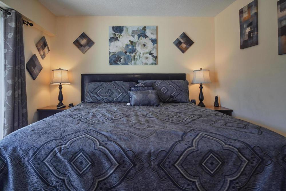 One-Bedroom Condo interior
